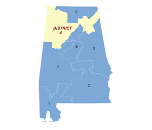 Census District Image