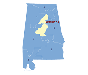 Census District Image