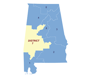 Census District Image