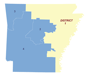 Census District Image