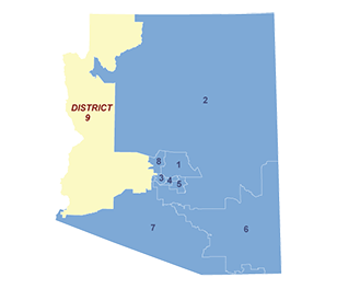 Census District Image