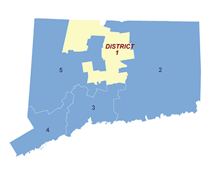 Census District Image