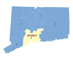 Census District Image