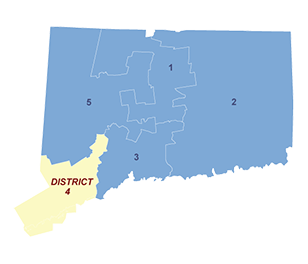 Census District Image