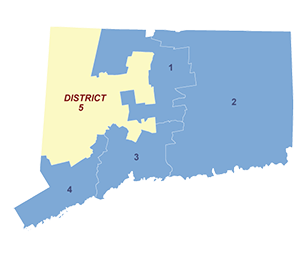 Census District Image