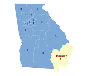 Census District Image