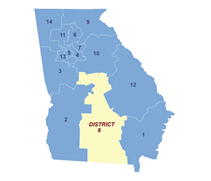 Census District Image