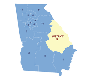 Census District Image