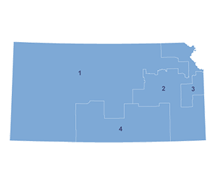 Census Image