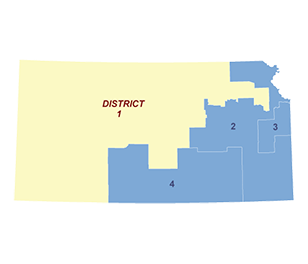 Census Image