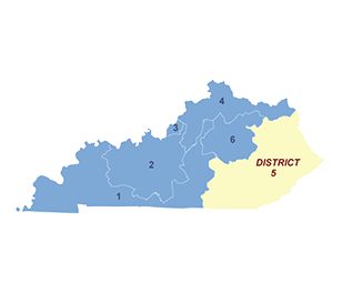 Census District Image