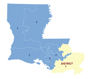 Census District Image