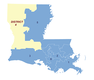 Census District Image