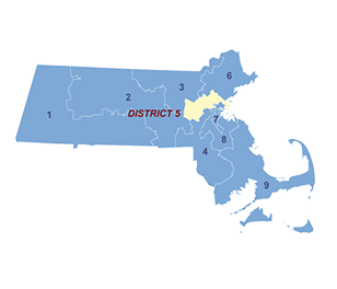 Census District Image