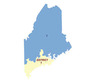 Census District Image