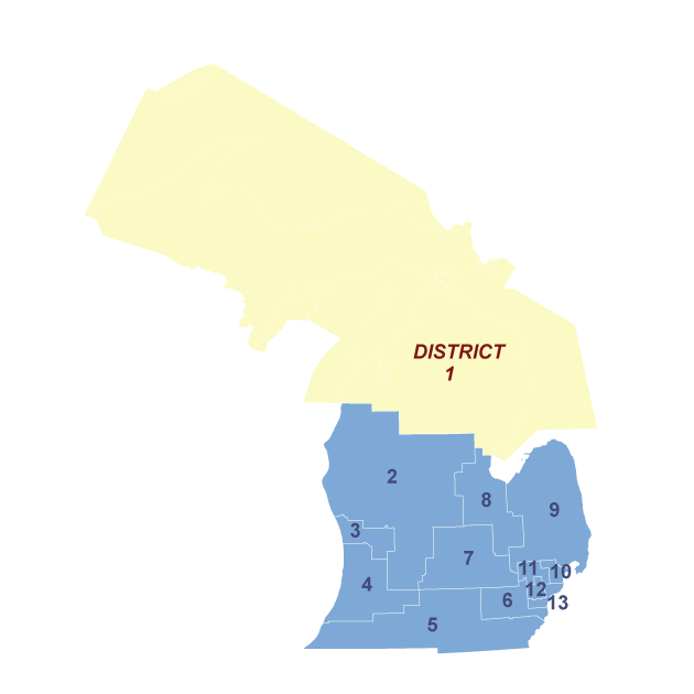 Census Image