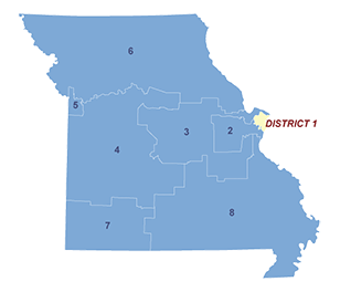 Census District Image