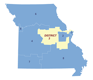 Census District Image