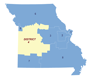 Census District Image