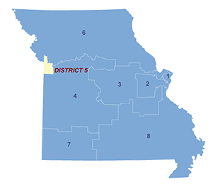 Census District Image