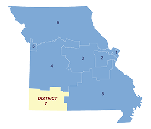 Census District Image