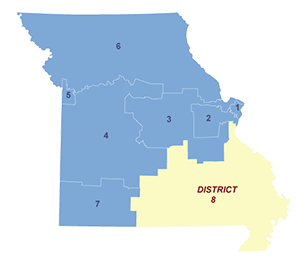 Census District Image