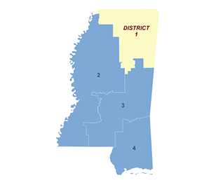 Census District Image