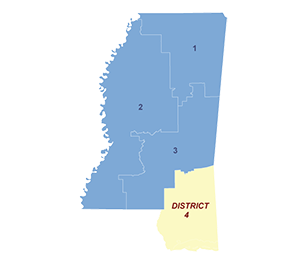 Census District Image