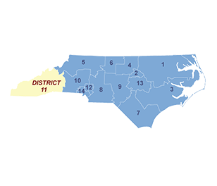 Census Image