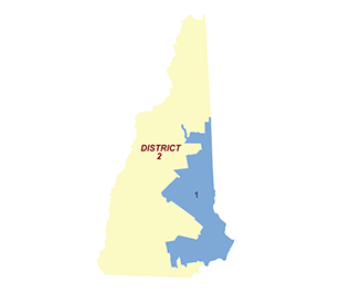 Census District Image