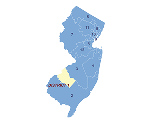 Census District Image