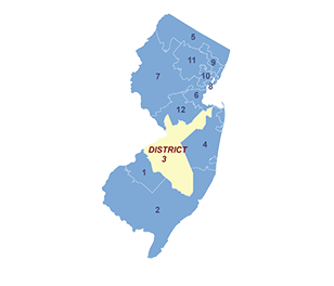 Census District Image