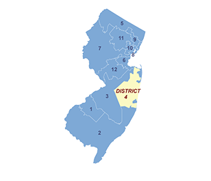 Census District Image