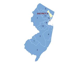 Census District Image