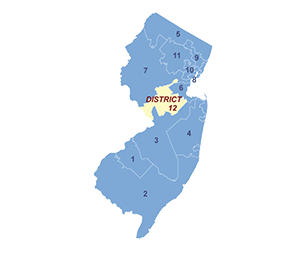 Census District Image