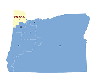 Census District Image