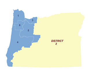 Census District Image