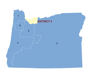 Census District Image