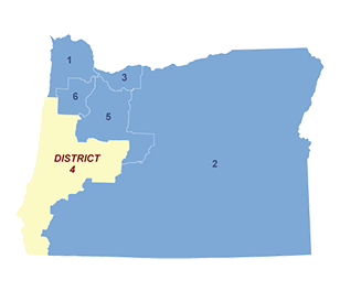 Census District Image