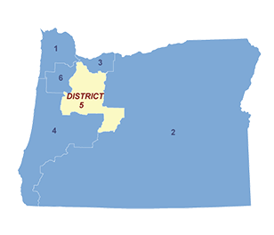 Census District Image