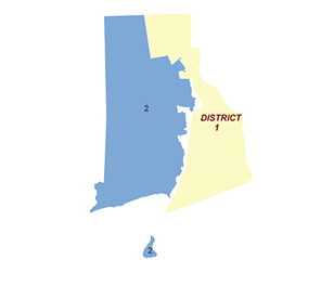 Census District Image