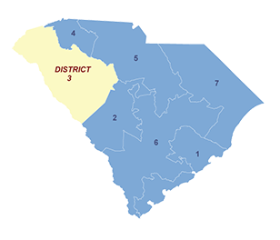 Census District Image