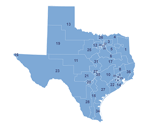 Census Image