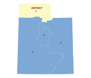 Census District Image