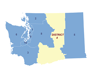 Census District Image