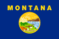 State Flag